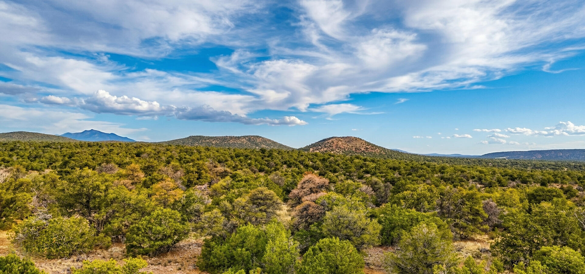 Coconino 1.11 Acres, 50010052 Kaibab High Culdesac - 118 E Hualpai Trl, Williams, AZ 86046